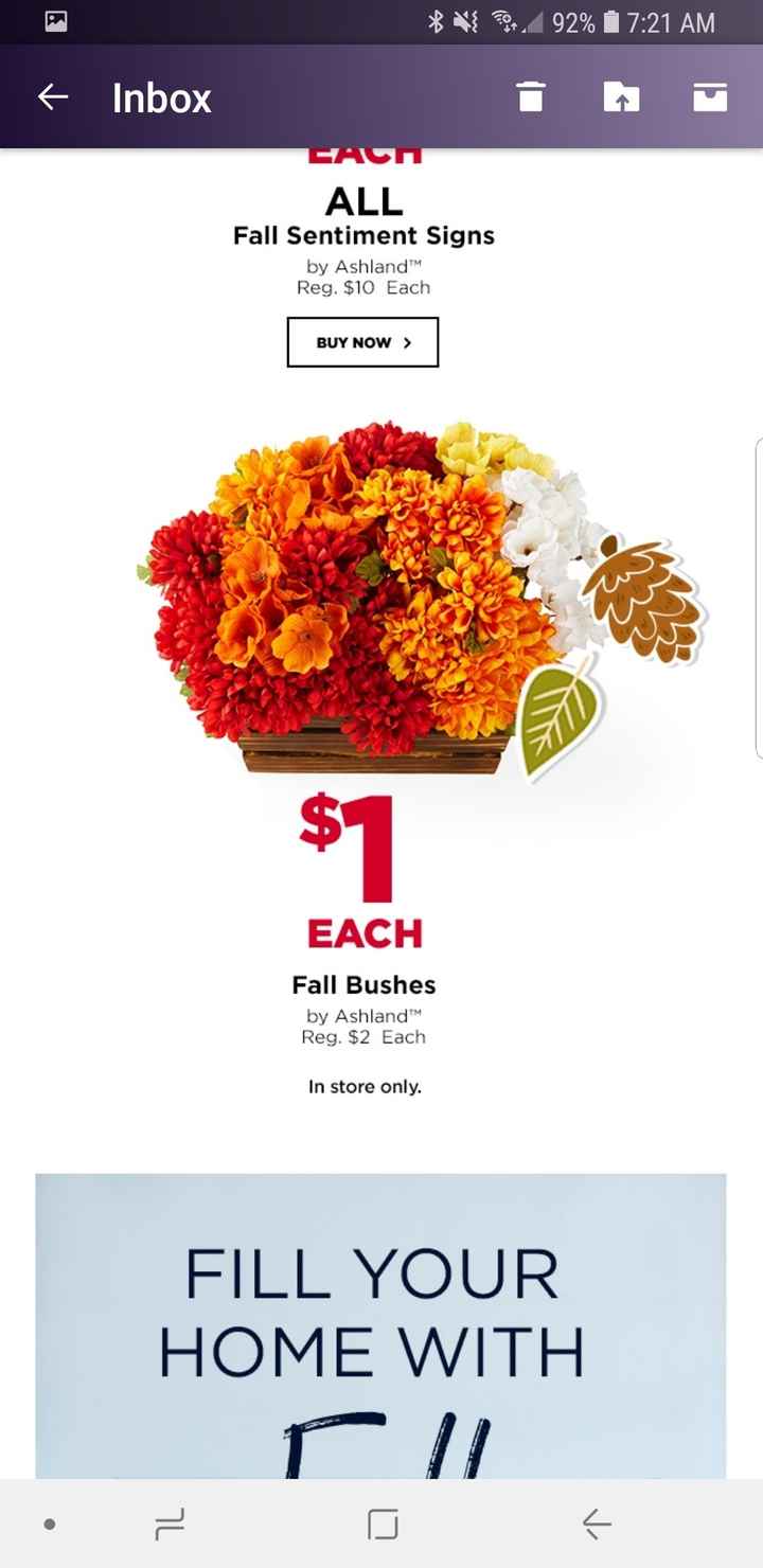 Happy Fall Y'all -- 50% off at Michael's - 6