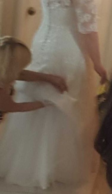 Back of Dress