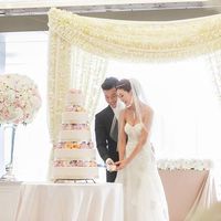 wedding arch curtain sheers