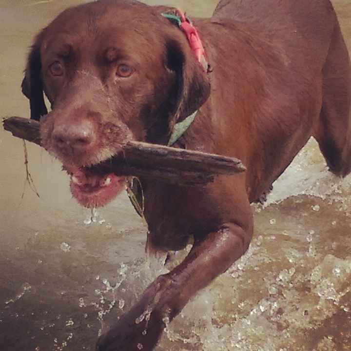 Happy Fursday Everyone!! :)