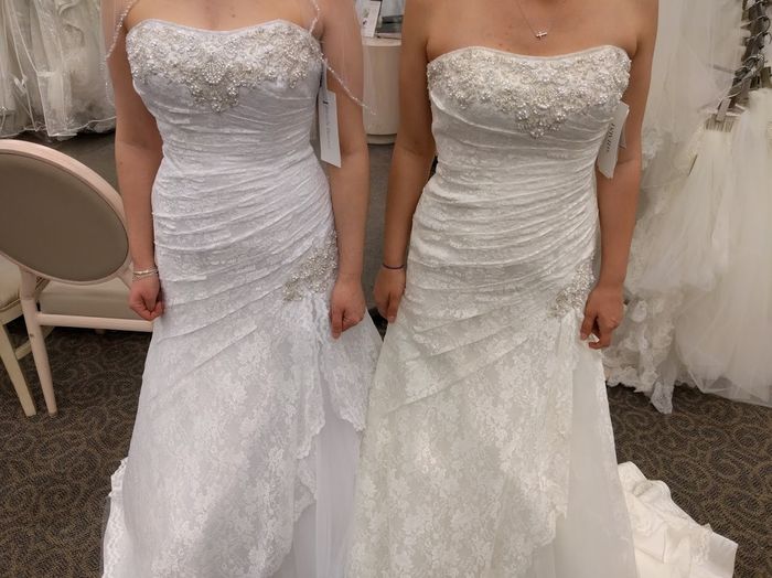 Let me see your DRESS!