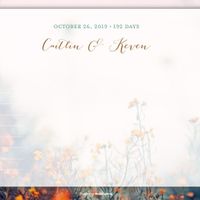 desktop opening page