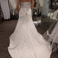 Let me see your DRESS!