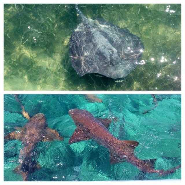Belize