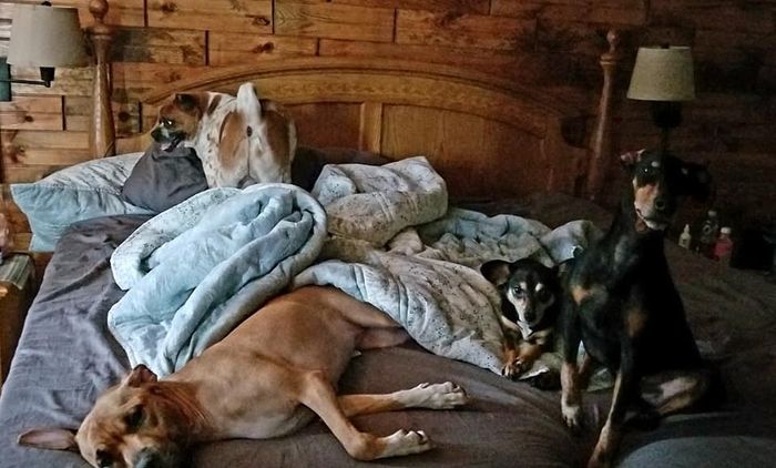 "Can't you guys all just sit?" 