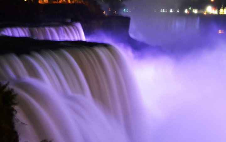 Her photo! She loves purple 