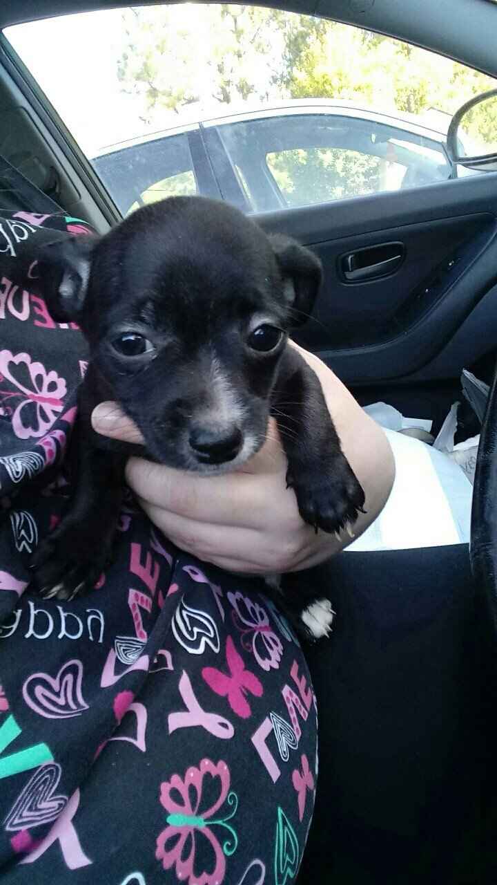 NWR: Show me your fur babies