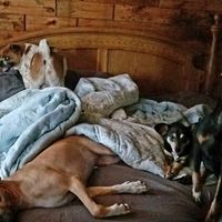 "Can't you guys all just sit?" 