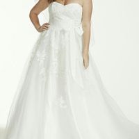 Size 22 & 24 brides!