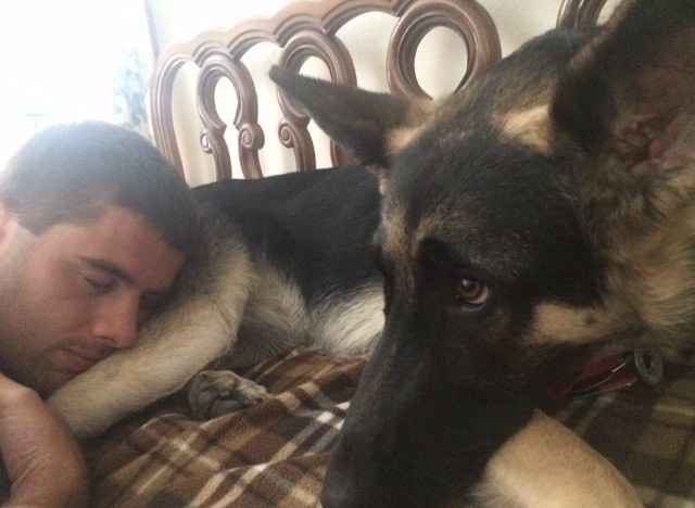 Dog in wedding/photos