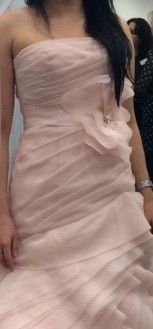 Need your advice! Sash or no sash?