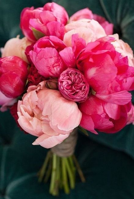Peony bouquet a no go...