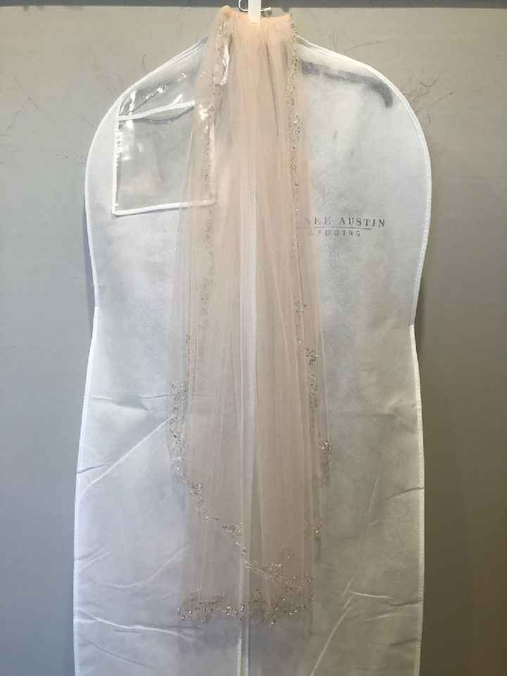 Veil - White or Colorful? - 1