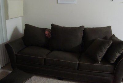 We got our new couch!!!!!!!!!!!!!! (NWR)