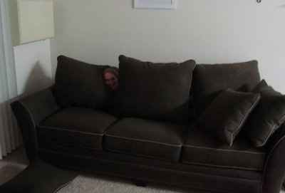 We got our new couch!!!!!!!!!!!!!! (NWR)