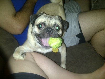 *NWR* Show me your pets/animals! *PICS*