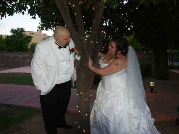 Please help me find a veil!