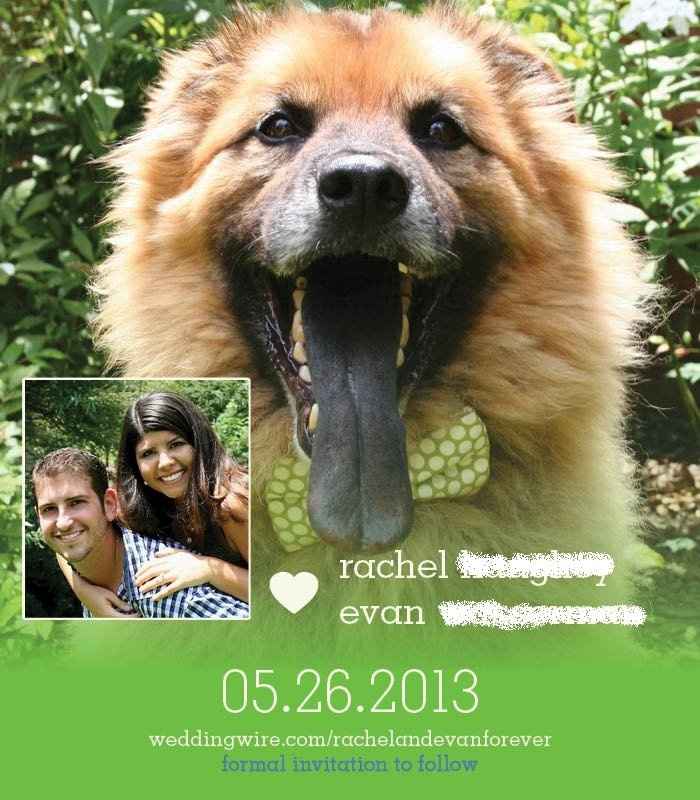 My STD drafts- Opinions Please!