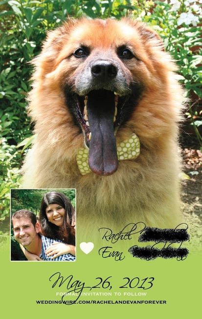 My STD drafts- Opinions Please!