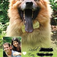 My STD drafts- Opinions Please!