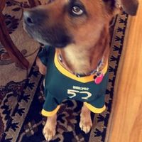 Show me those puppies!