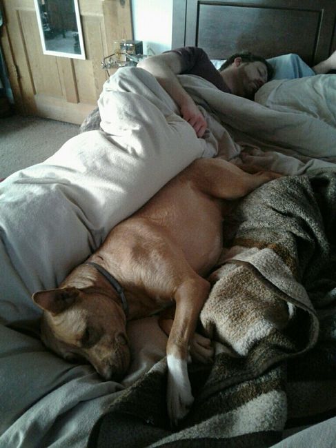 NWR: My pup thinks she's people. She's right. Show me your "people pups!"