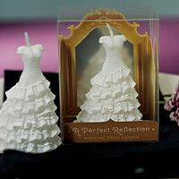 I'm having a cinderella theme wedding......