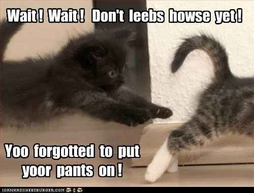 Bad Mood, Meme me up!