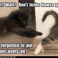 Bad Mood, Meme me up!