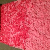 Anyone DIY'ing A Petal Aisle Runner??