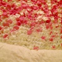 Anyone DIY'ing A Petal Aisle Runner??