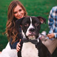 I HAVE TO share a couple of these adorb engagement pics :)