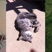 *NWR* Show me your pets/animals! *PICS*