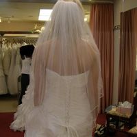 Please help me find a veil!