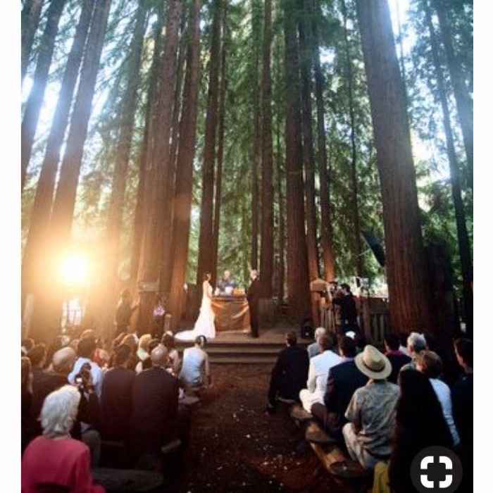 Forest Ceremony