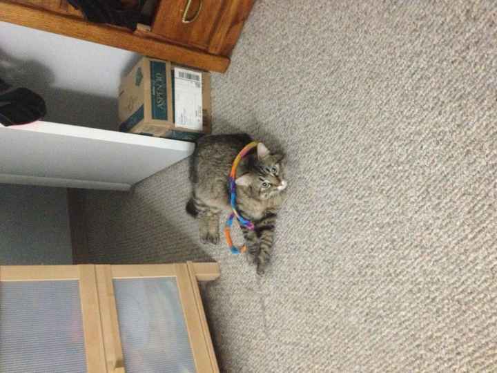 Feel-Good Moment of the Week