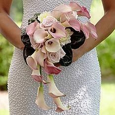 The Calla Lily Speaks to Me...