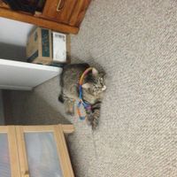 Feel-Good Moment of the Week