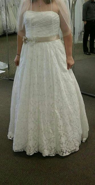 Plus Size Brides , share your dress !