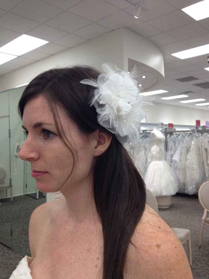 Help!  Veil or headpiece?