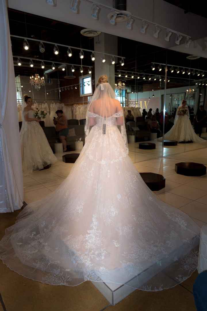 The back