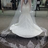 Cathedral Veil Issues