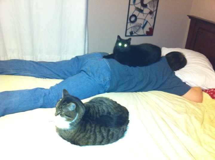 Got a new puppy, lets see a pic of your pets