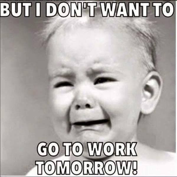 Cranky pants Monday