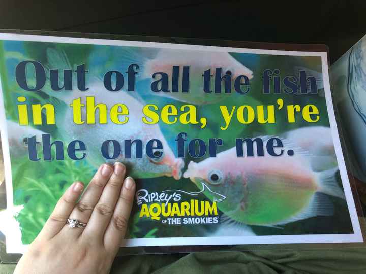 Brides of 2020!  Show us your ring! - 1