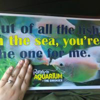 Brides of 2020!  Show us your ring! - 1