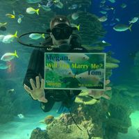 Brides of 2020!  Show us your ring! - 2