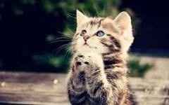 I need you now more than evahhh!