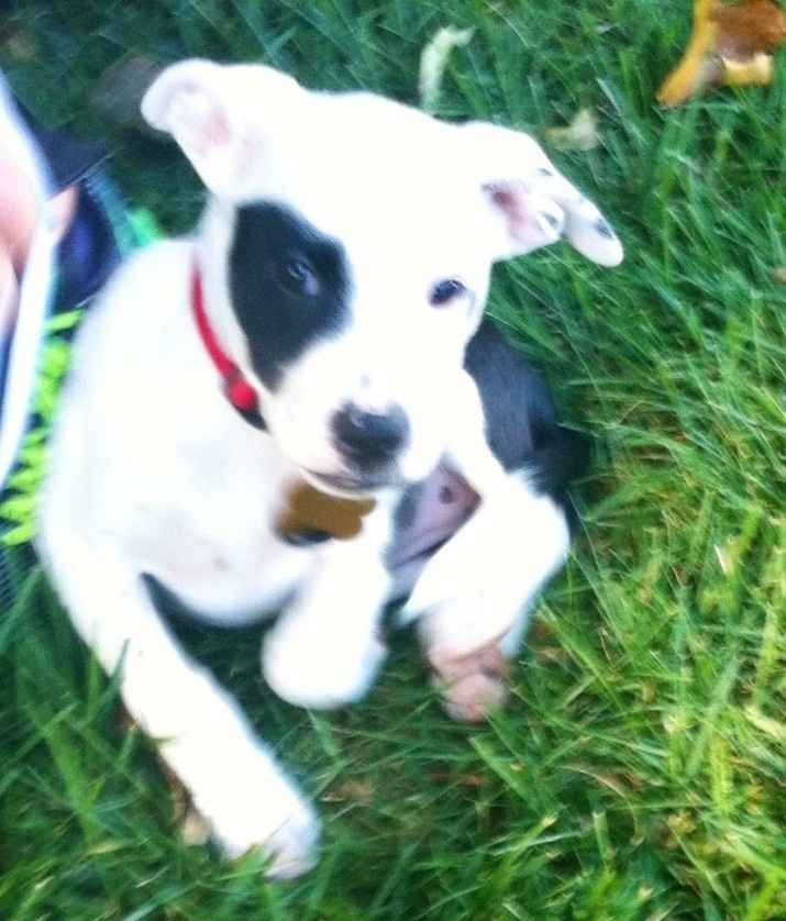 NWR- A new addition to the family!! *PICS*