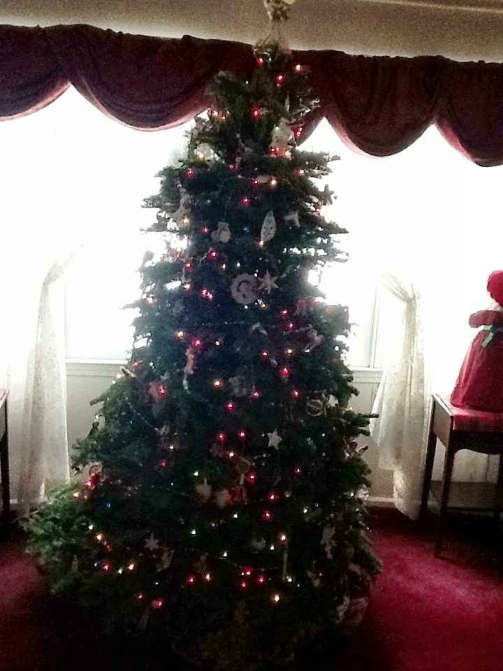NWR- Let's see your Christmas tree!